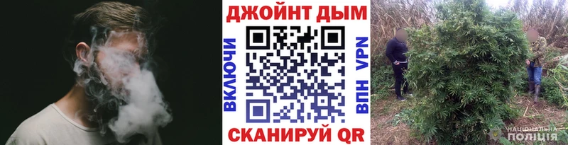 МАРИХУАНА конопля  Прохладный 